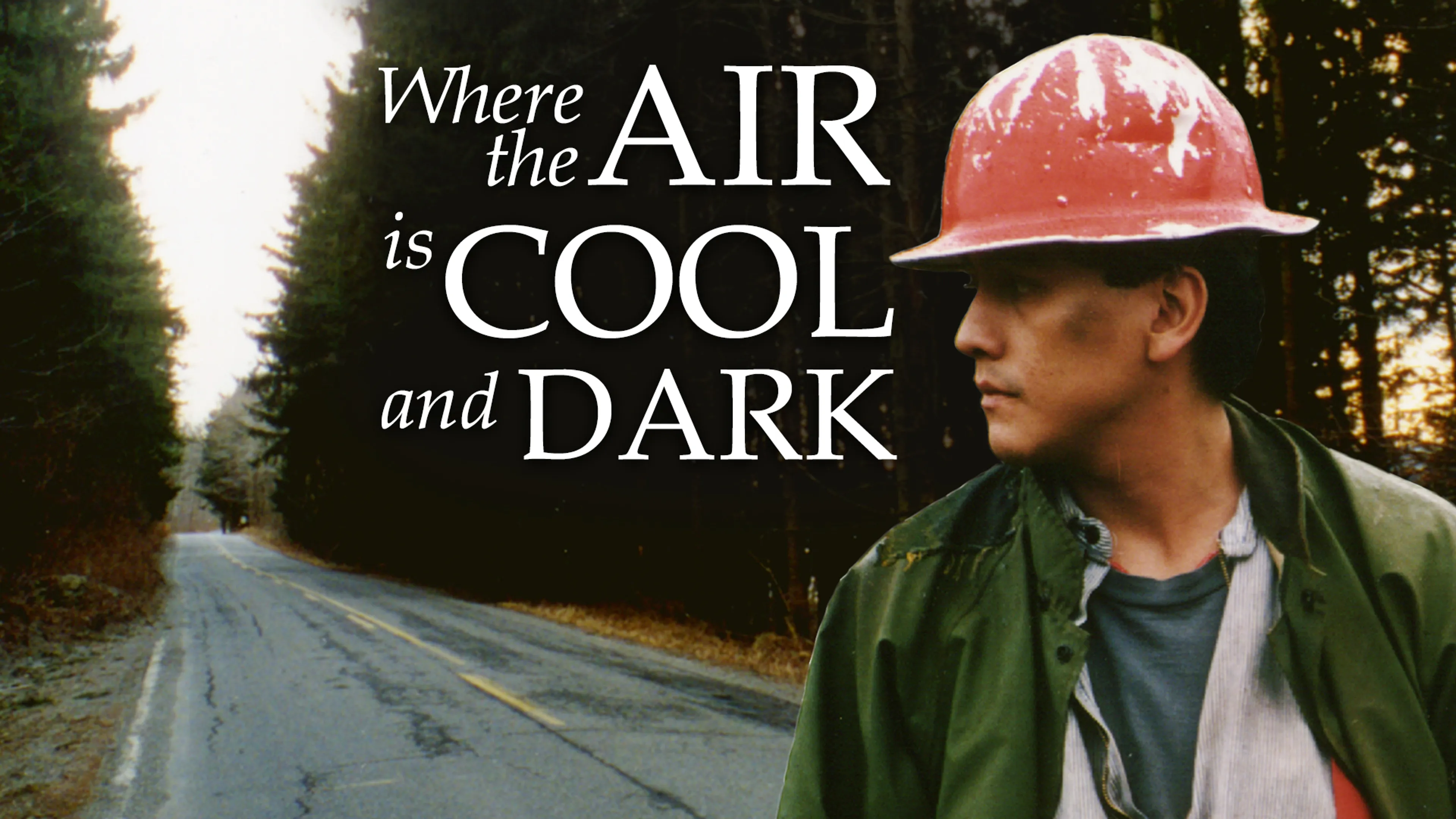 Where the Air is Cool and Dark poster